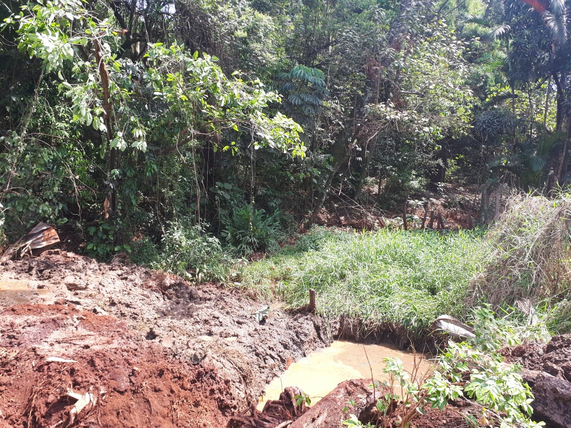 Pelotão Ambiental barra escavação em área de preservação