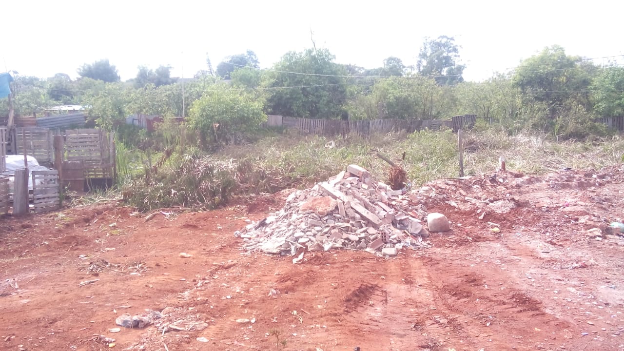 Pelotão Ambiental flagra desmatamento em área de preservação permanente