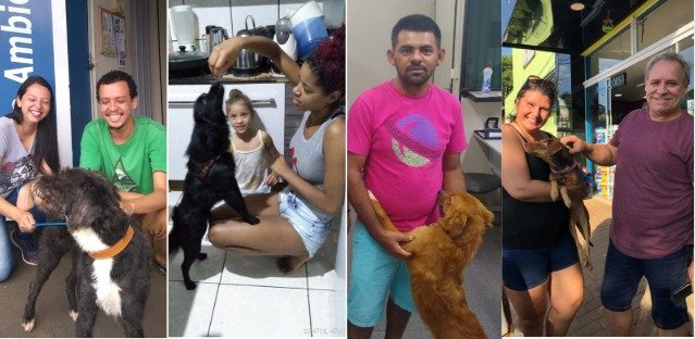Cães de rua são adotados em Cordeirópolis