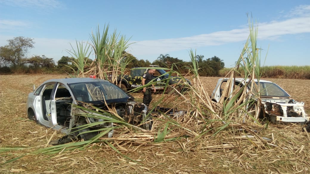 Pelotão Ambiental encontra "carcaça" de carros no canavial em Cordeirópolis
