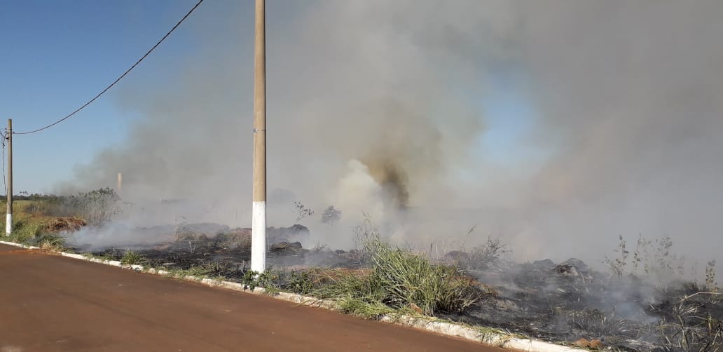 Fogo criminoso queima cerca de 80% de área ambiental