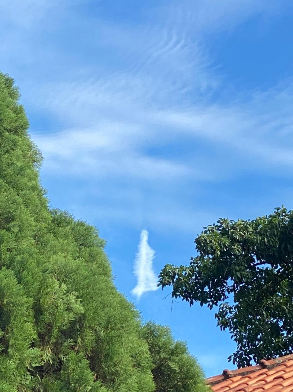 Fiel registra nuvem em formato de Nossa Senhora