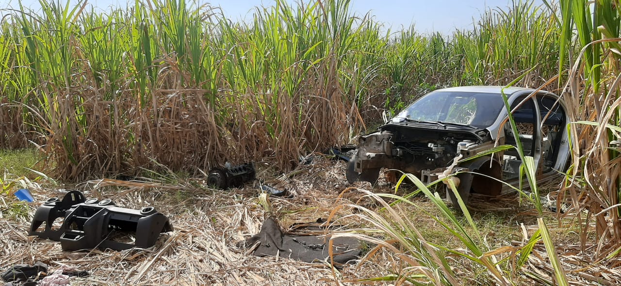 GCM localiza carro furtado de Mogi das Cruzes em canavial de Cordeirópolis