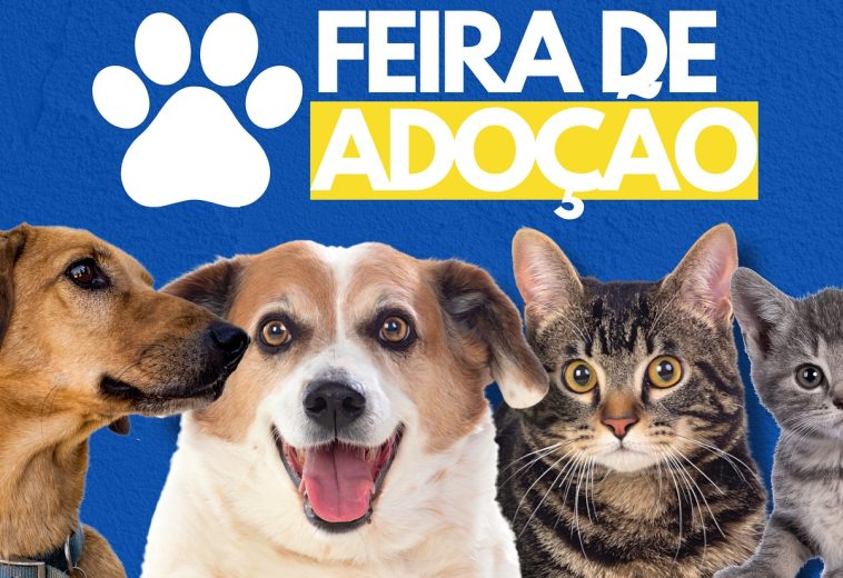 Encontre seu novo amigo: participe da feirinha de adoção responsável neste sábado